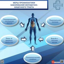 Неделя профилактики заболеваний ЖКТ  с 24 по 30 ноября 2025 года - Фотогалерея