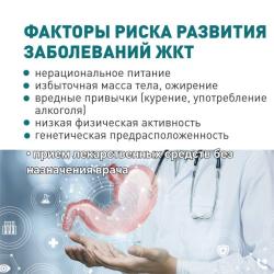 Неделя профилактики заболеваний ЖКТ  с 24 по 30 ноября 2025 года - Фотогалерея