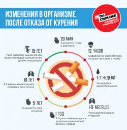 О вреде никотинсодержащей продукции - Фотогалерея