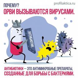Неделя борьбы с антимикробной резистентностью (в честь Всемирной недели повышения осведомленности о проблеме устойчивости к противомикробным препаратам) с 17 по 23 ноября 2025 года - Фотогалерея